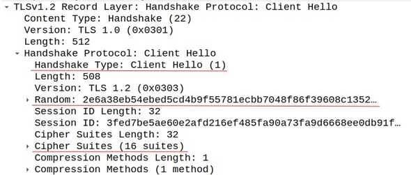 TLS client hello