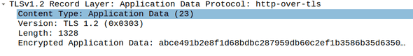 TLS application data